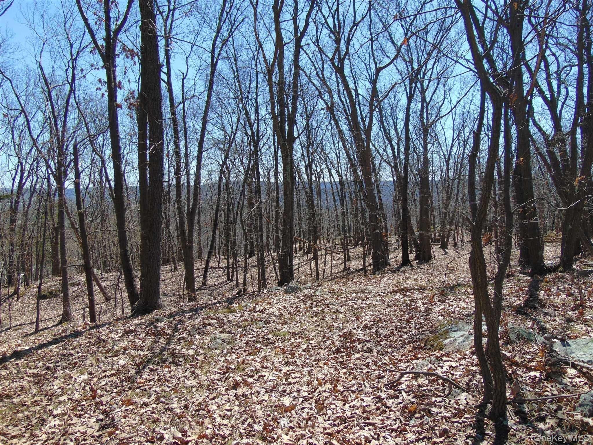 382 Cedar Hill Road thumbnail 17