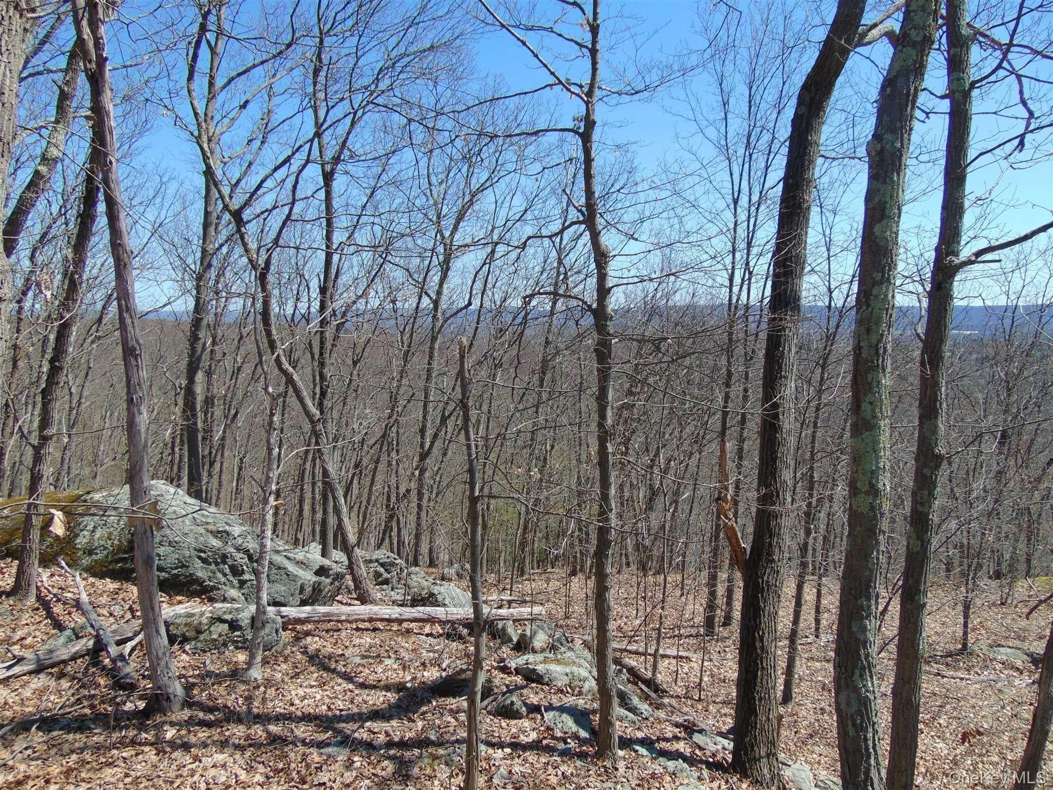 382 Cedar Hill Road thumbnail 5