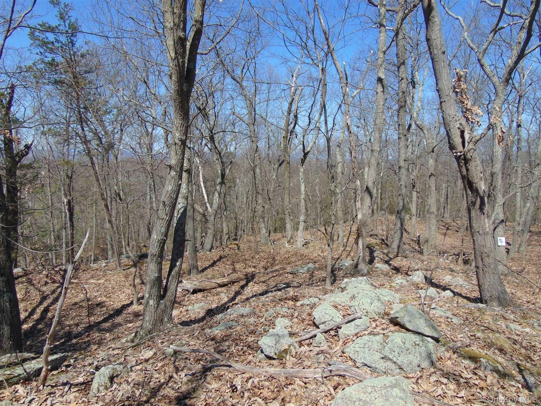 382 Cedar Hill Road thumbnail 12