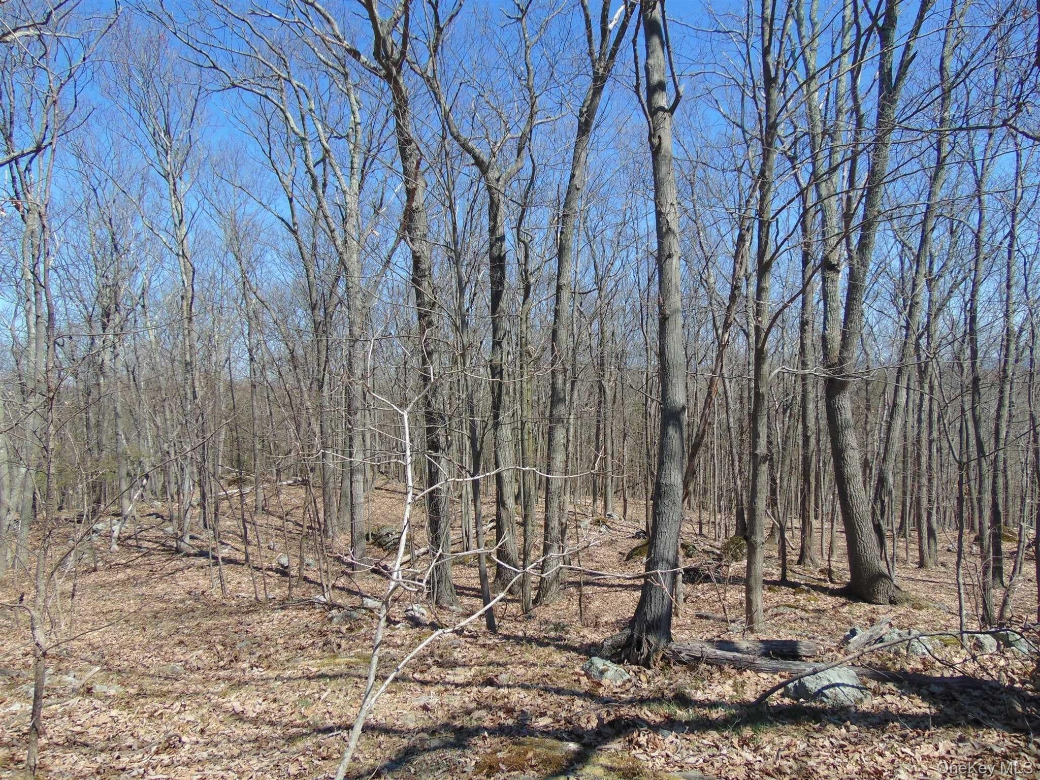 382 Cedar Hill Road thumbnail 14
