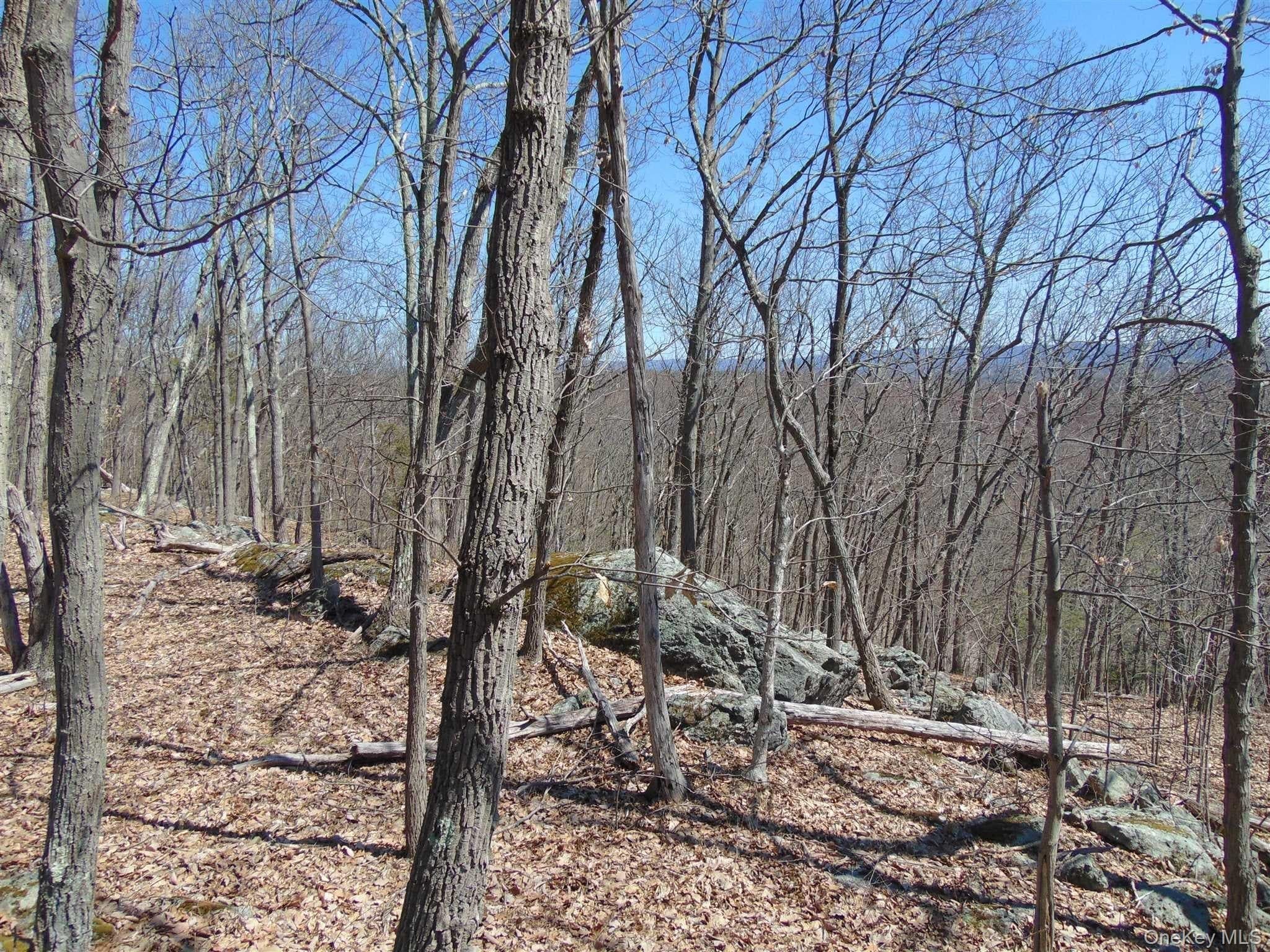 382 Cedar Hill Road thumbnail 6