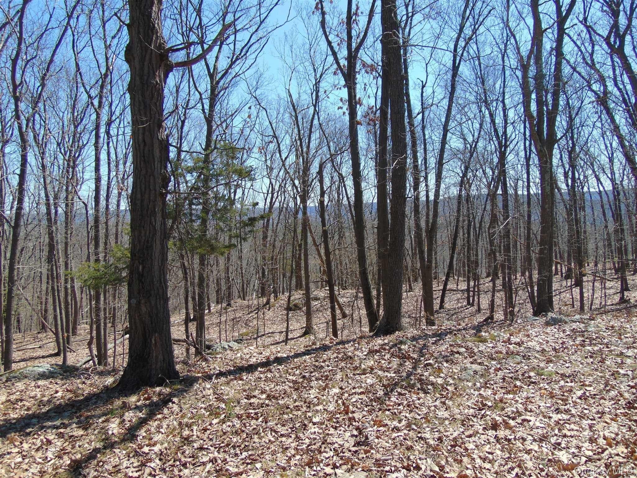 382 Cedar Hill Road thumbnail 3