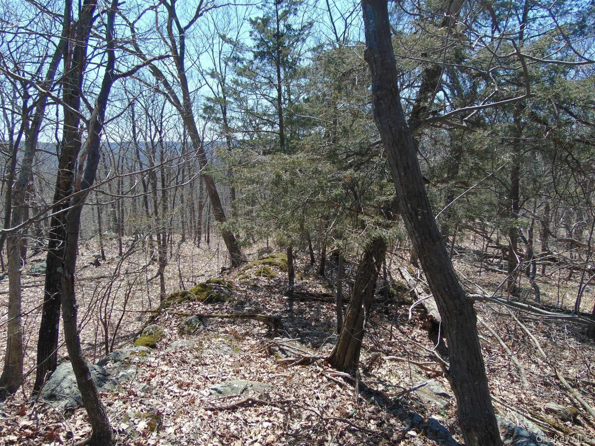 382 Cedar Hill Road thumbnail 20