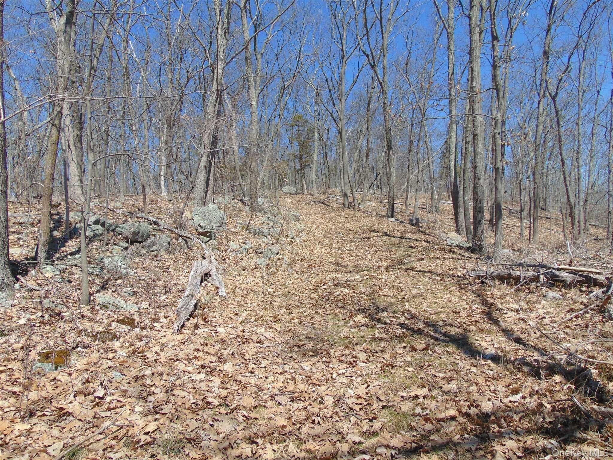 382 Cedar Hill Road thumbnail 2