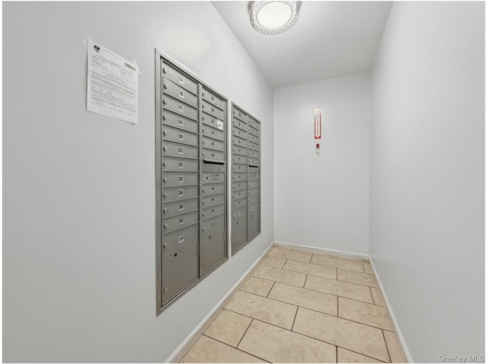 715 E 214th Street thumbnail 5
