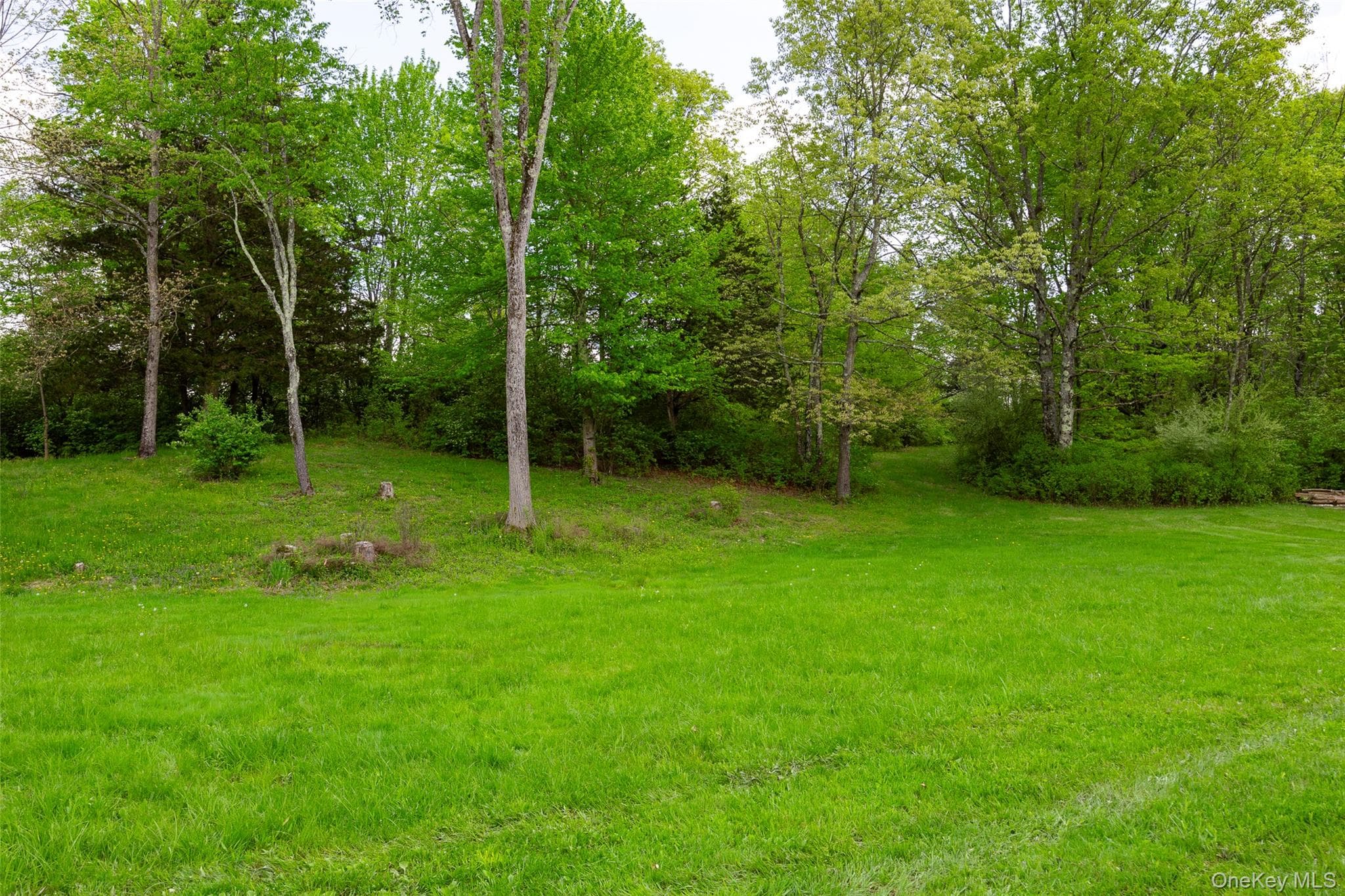 508 Woodstock Road thumbnail 29