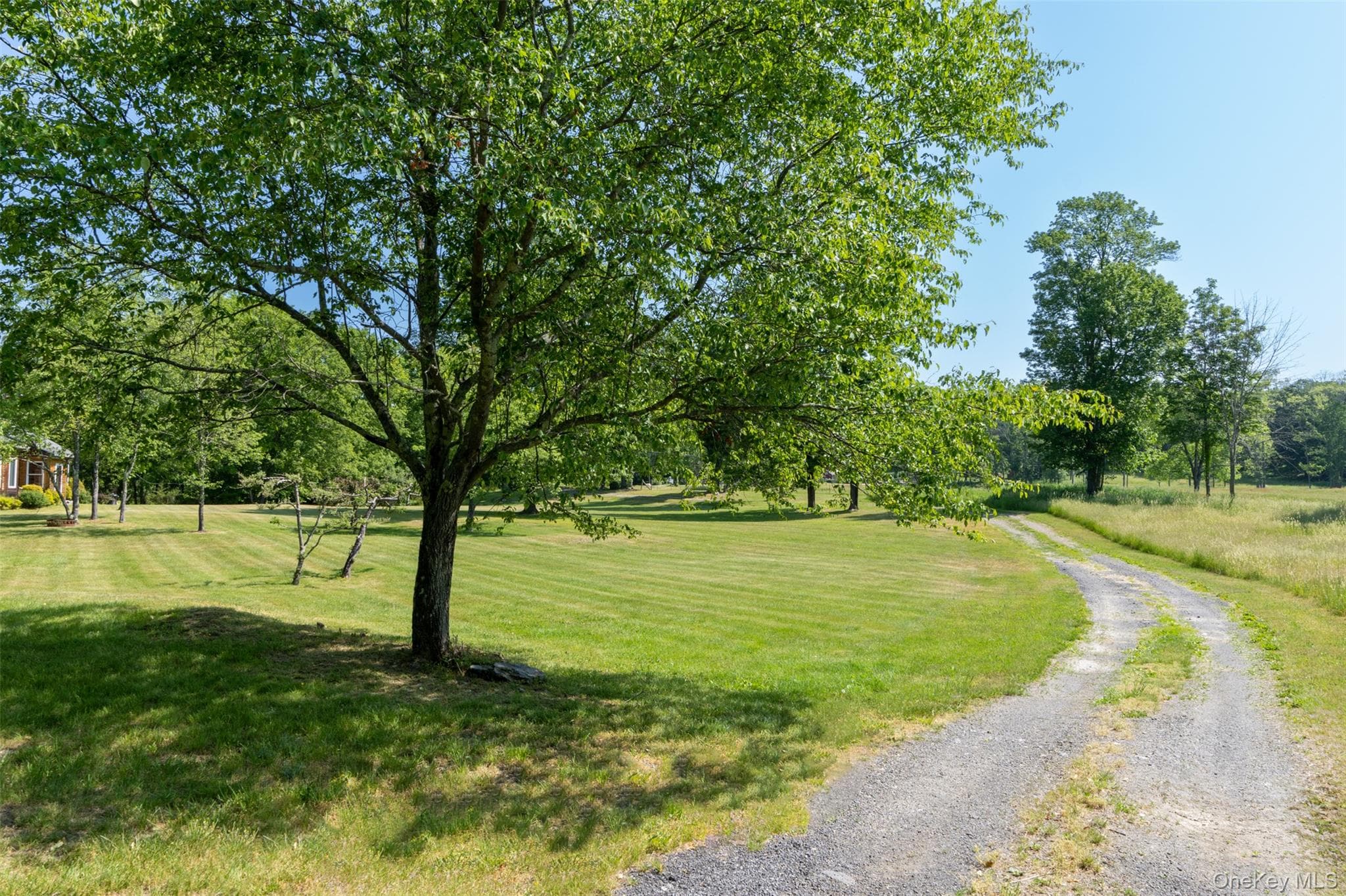 508 Woodstock Road thumbnail 5