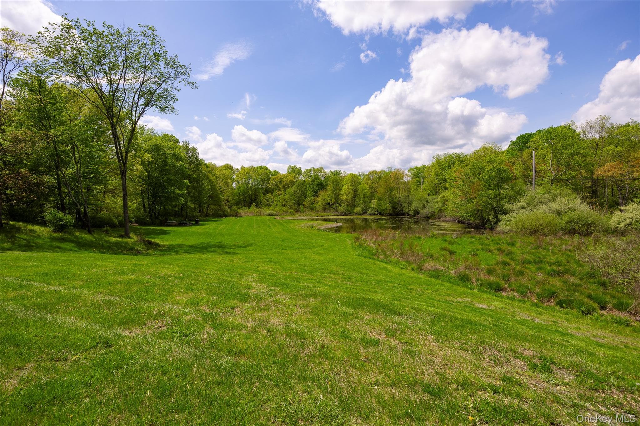 508 Woodstock Road thumbnail 28