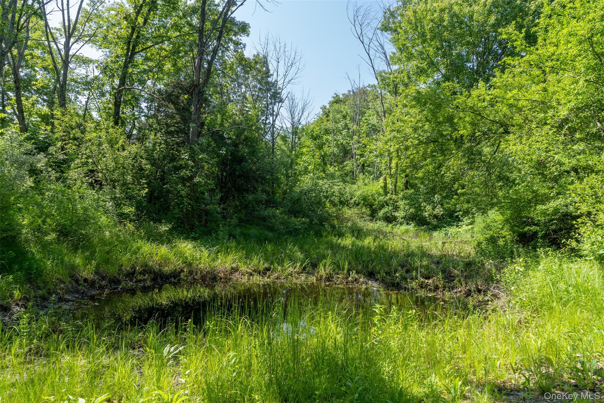 508 Woodstock Road thumbnail 39