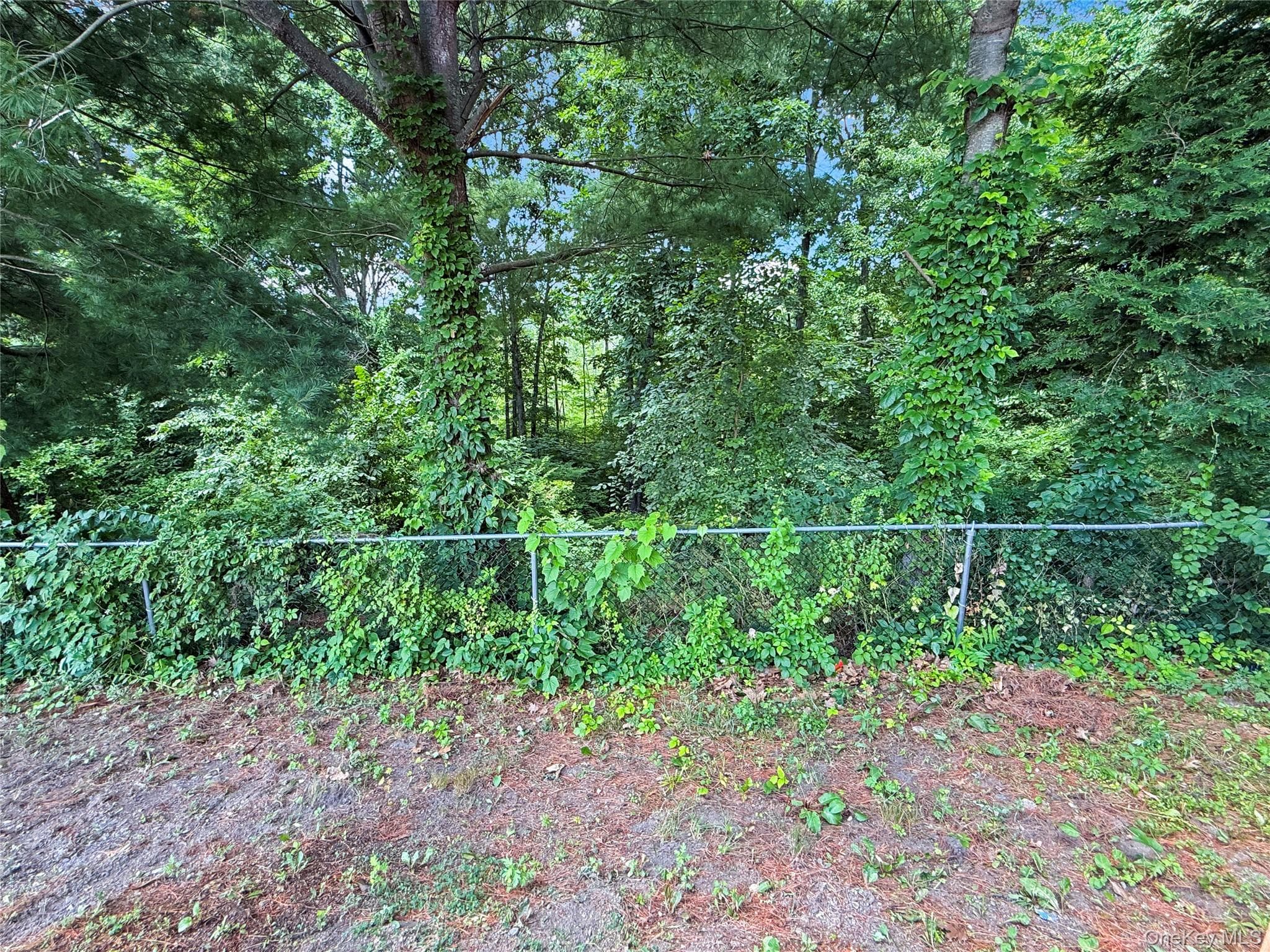 43 Regency Drive thumbnail 30