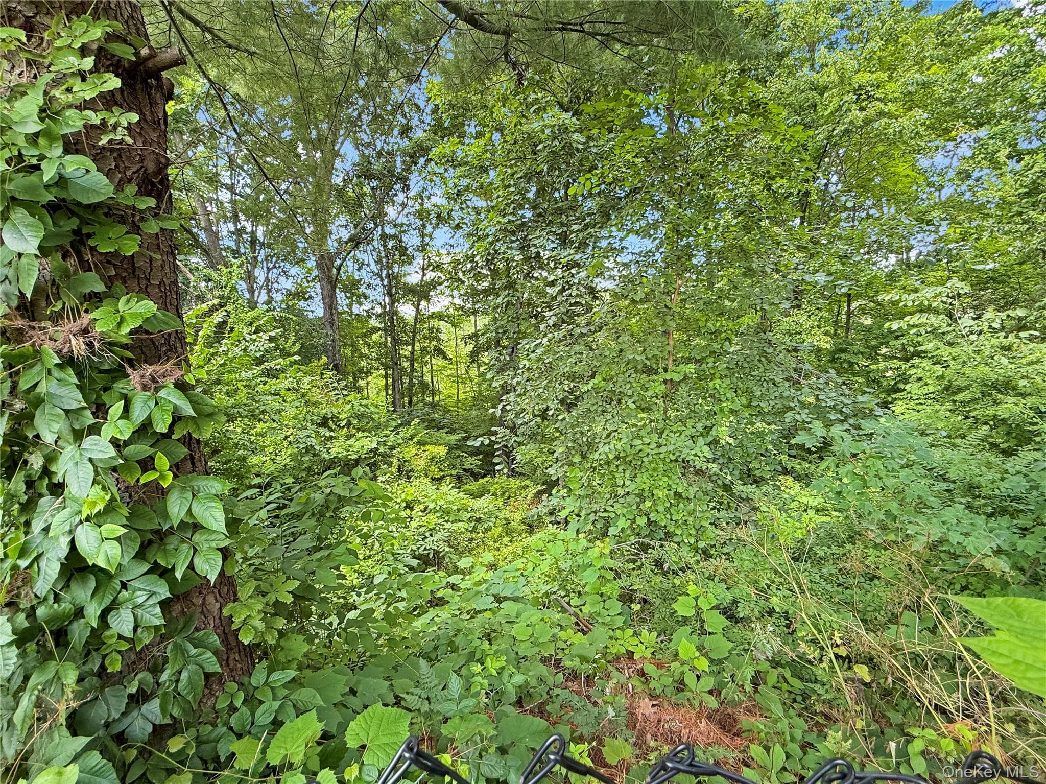 43 Regency Drive thumbnail 29
