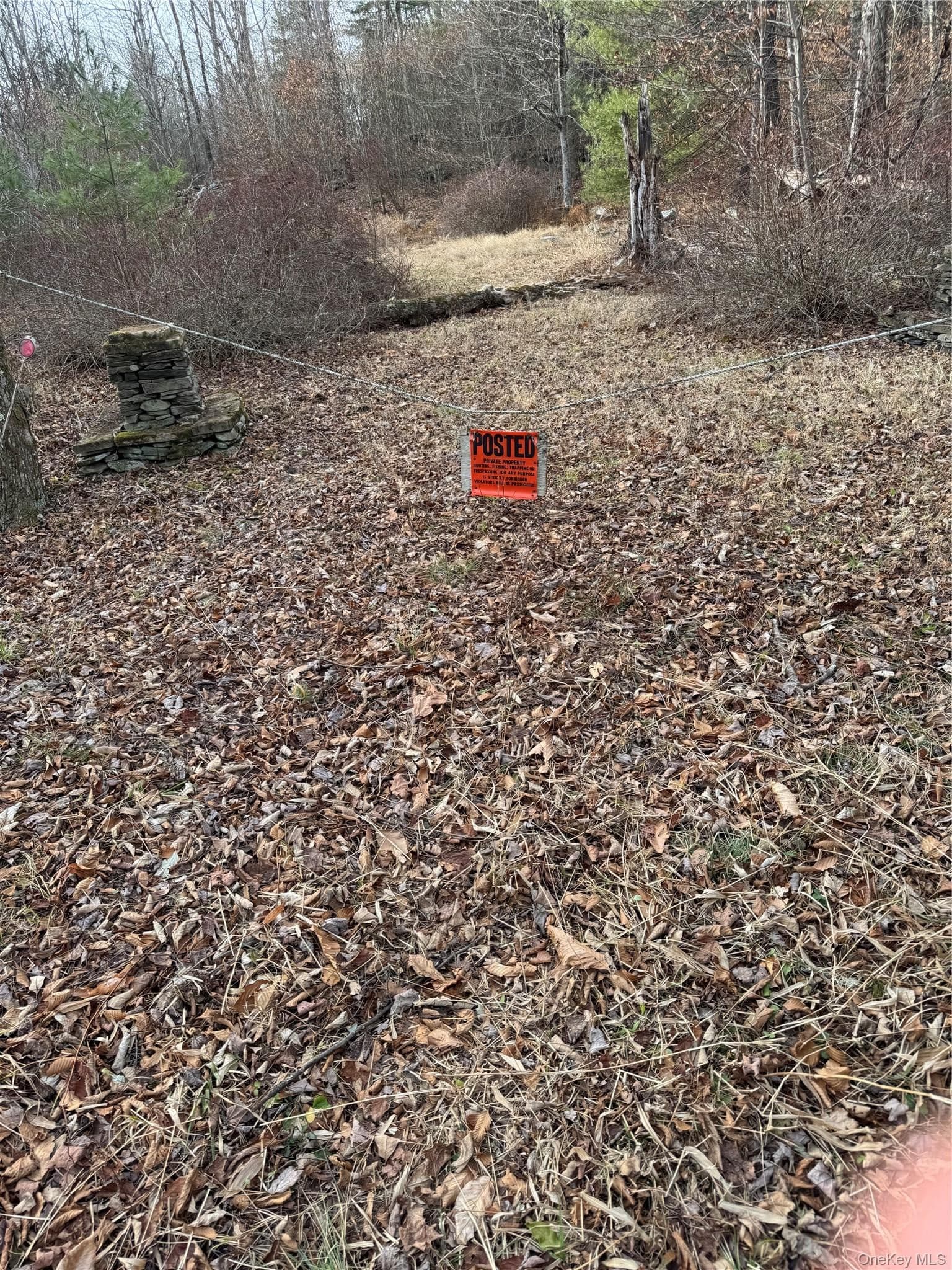 Hilltop Road thumbnail 8