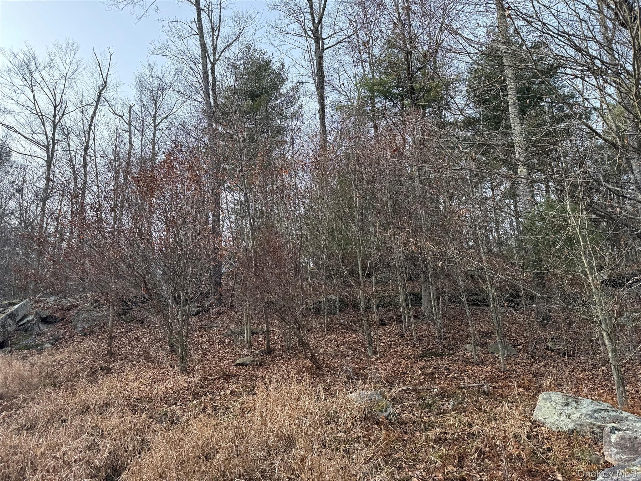 Hilltop Road thumbnail 12