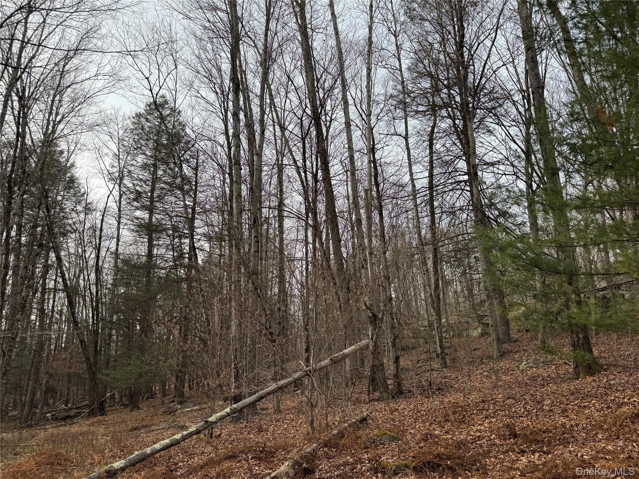 Hilltop Road thumbnail 16