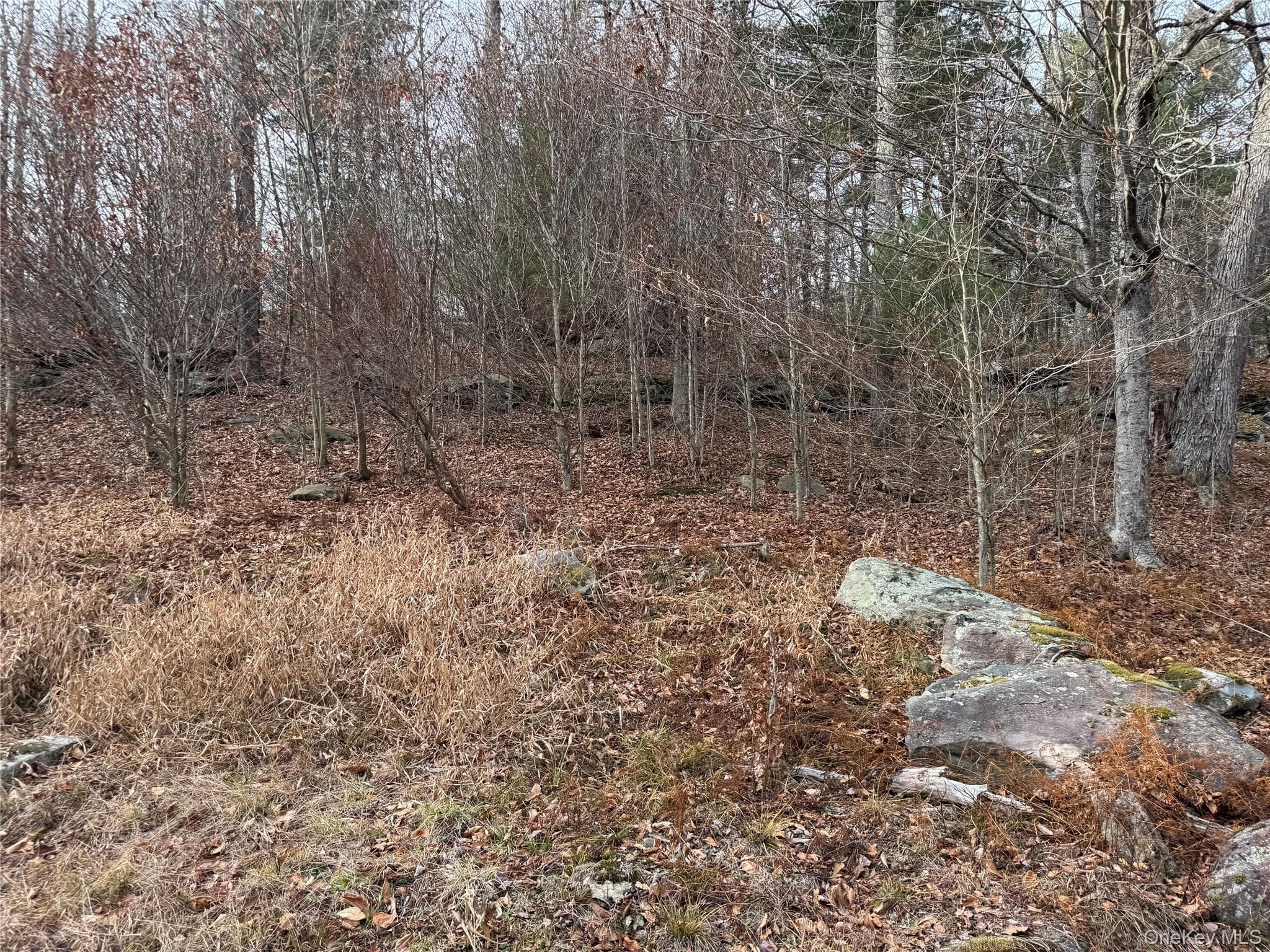 Hilltop Road thumbnail 11