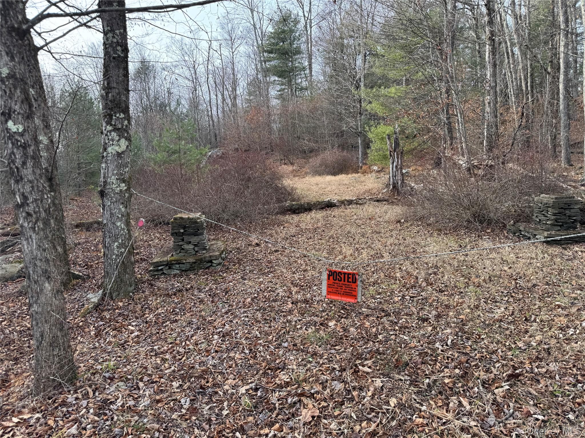 Hilltop Road thumbnail 5