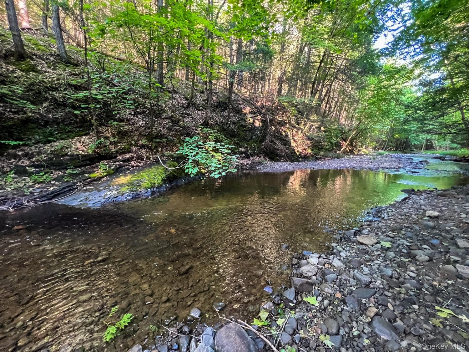 210 Cherrytown Road thumbnail 9