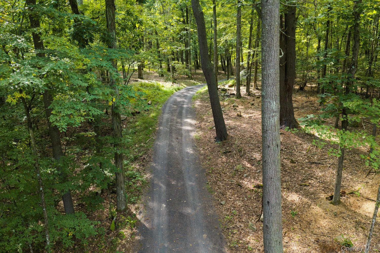 210 Cherrytown Road thumbnail 14