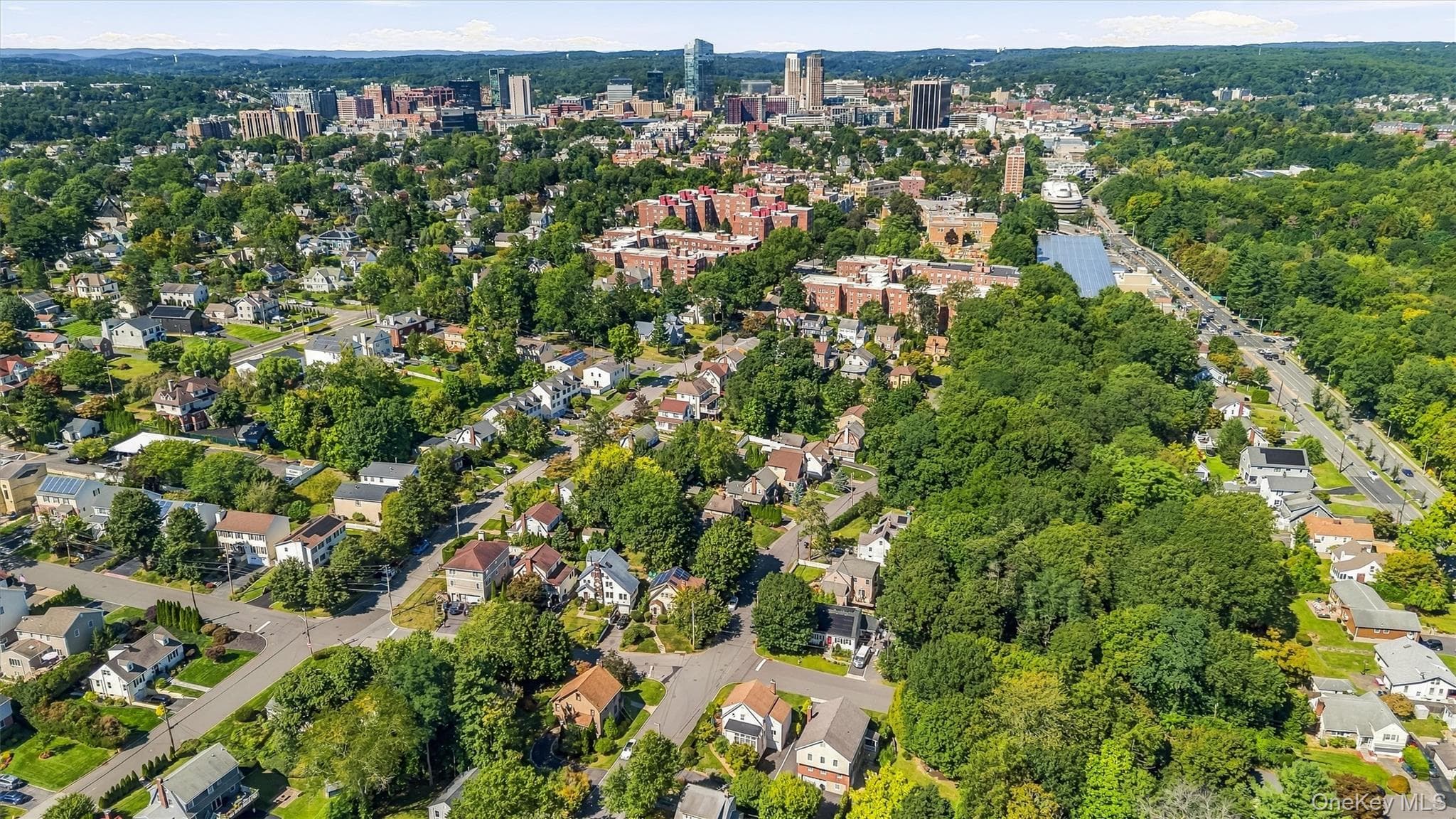 87 Bolton Avenue thumbnail 46