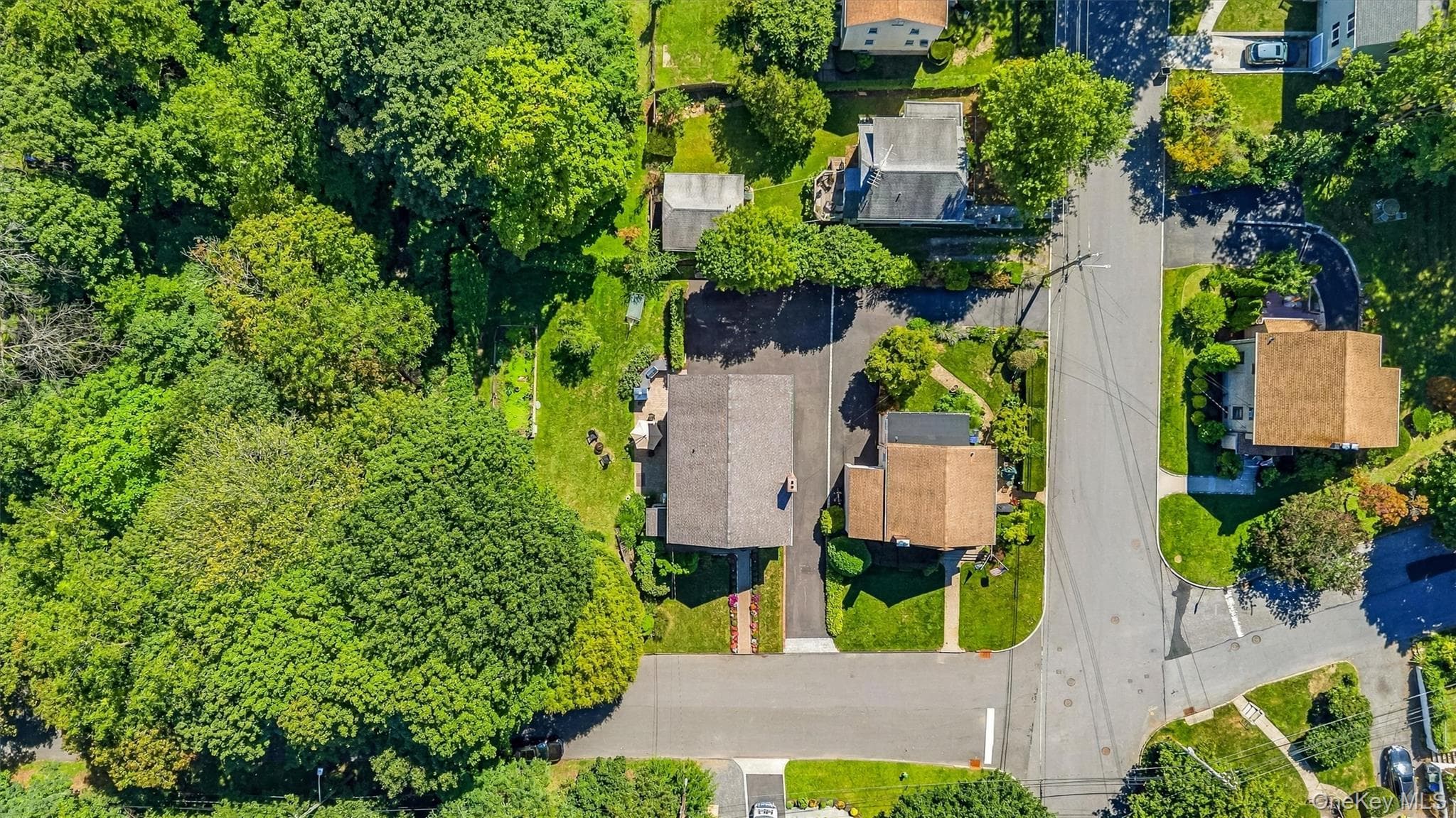 87 Bolton Avenue thumbnail 47