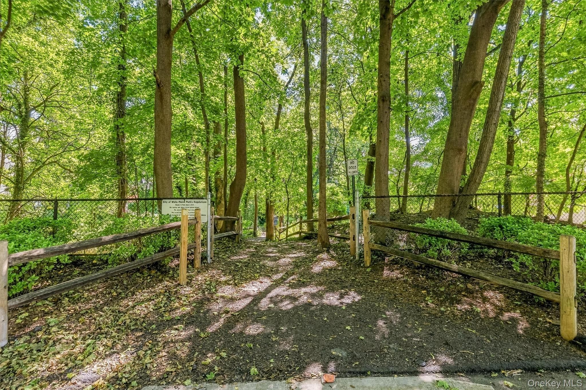 87 Bolton Avenue thumbnail 37