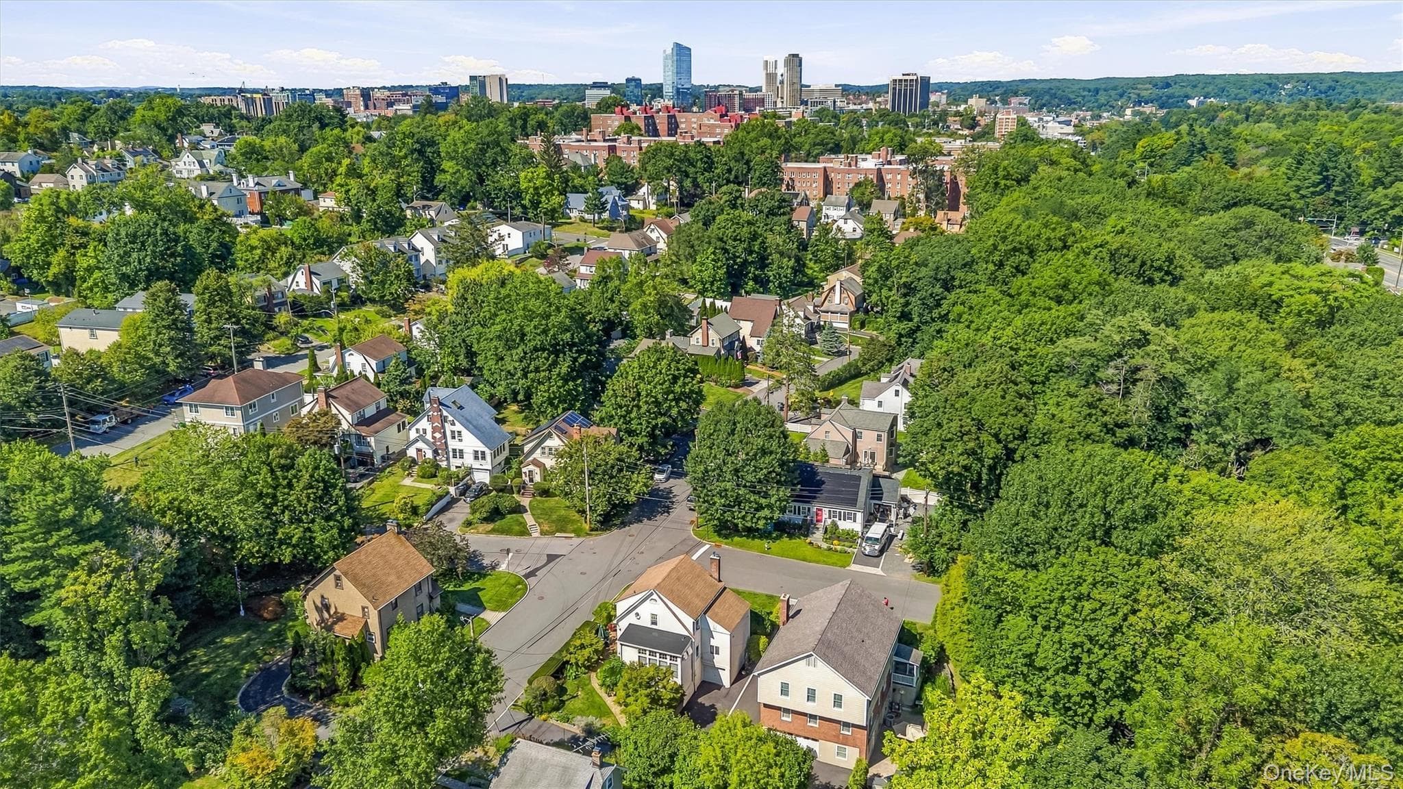 87 Bolton Avenue thumbnail 45