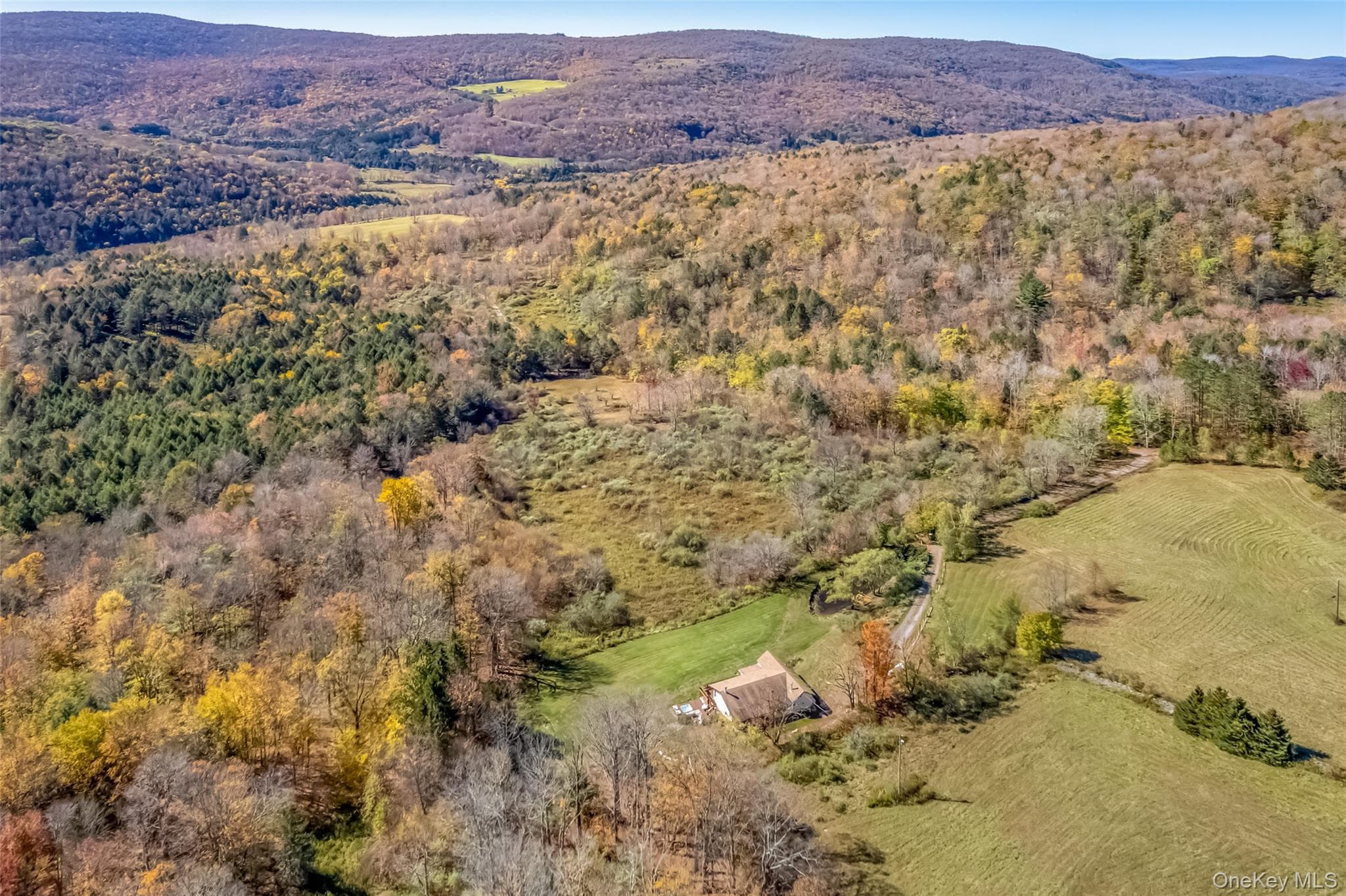 822 Burton Hill Road thumbnail 25