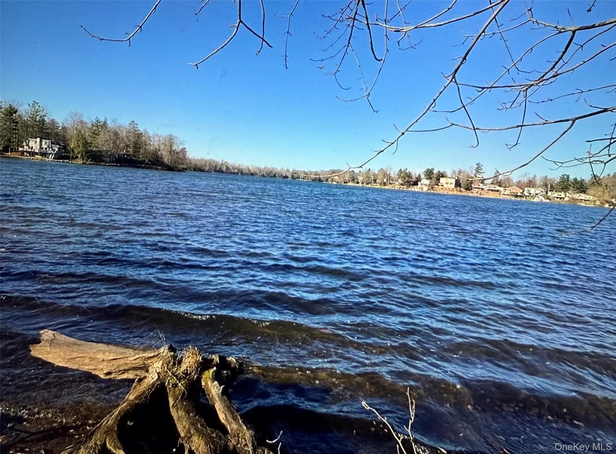 Lake Shore Drive thumbnail 2