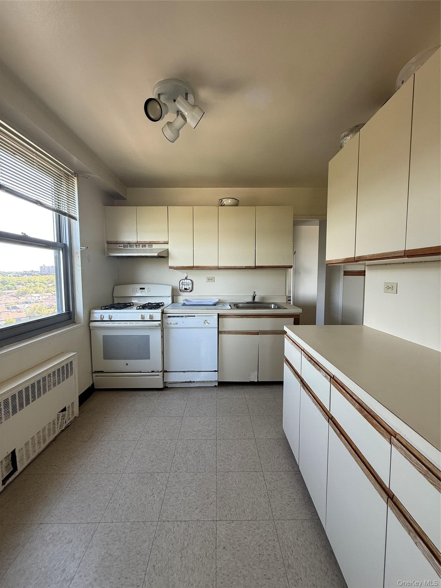 61-20 Grand Central Parkway Unit: A 1205 thumbnail 18