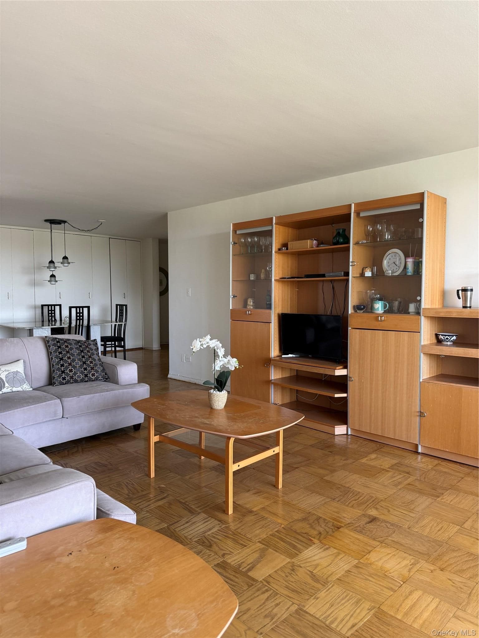 61-20 Grand Central Parkway Unit: A 1205 thumbnail 17