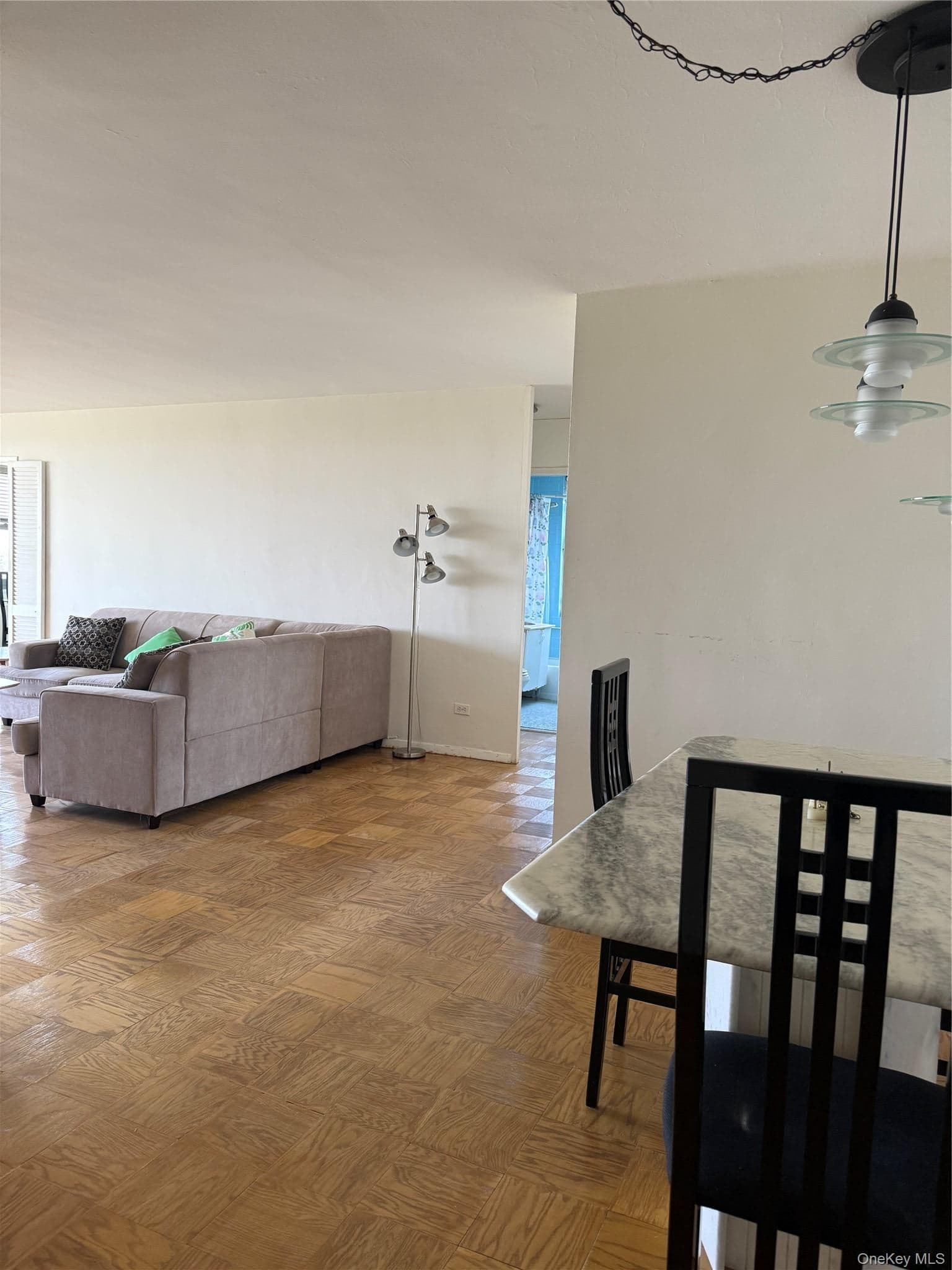 61-20 Grand Central Parkway Unit: A 1205 thumbnail 7