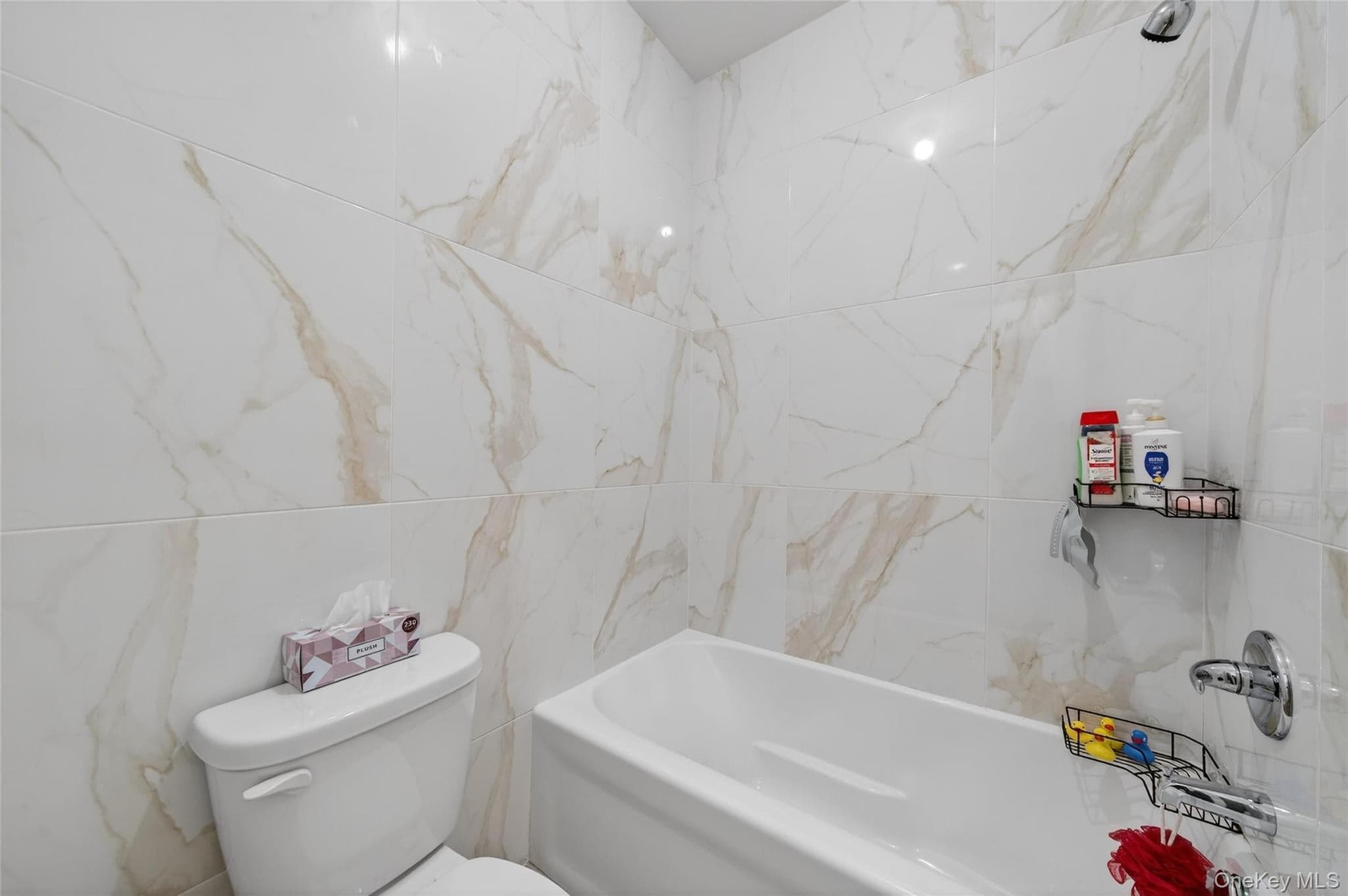 3 Melitz St Unit: 201 thumbnail 22
