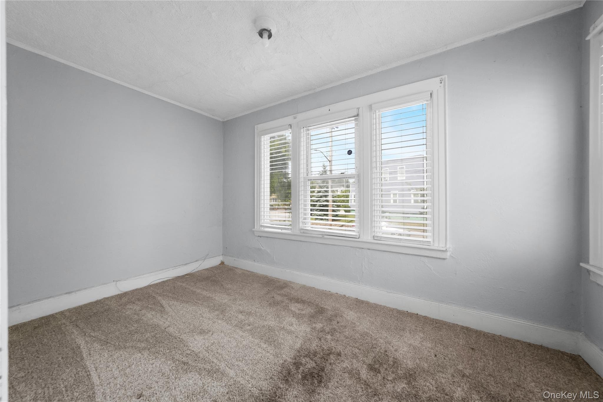 231-08 Mentone Avenue thumbnail 5