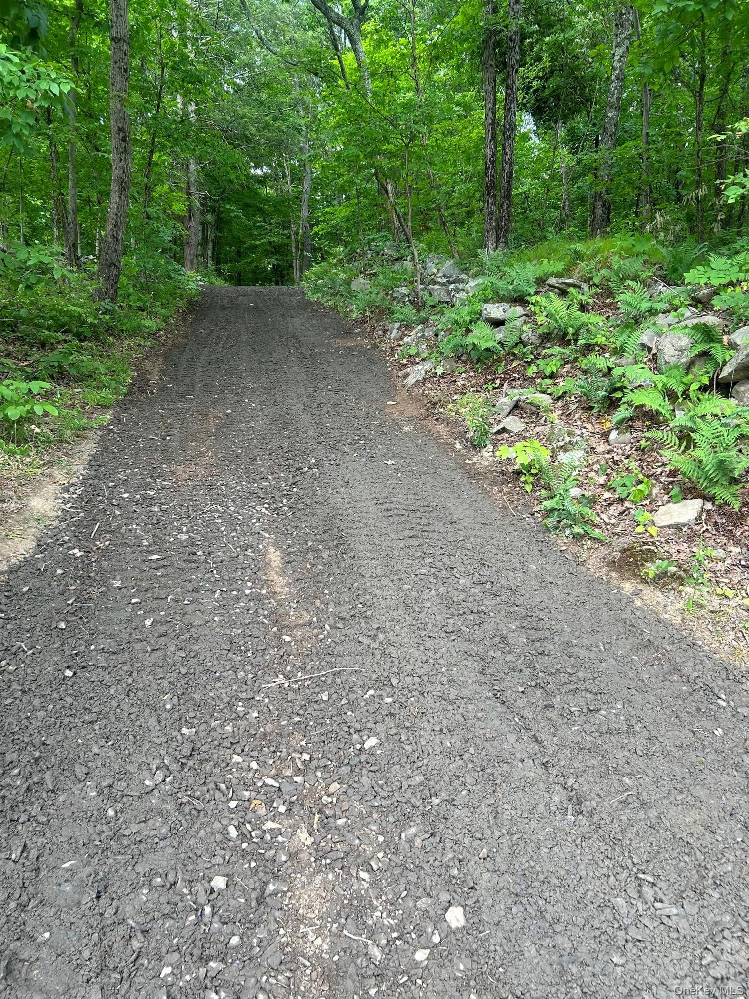 814 Cow Hough Road thumbnail 7