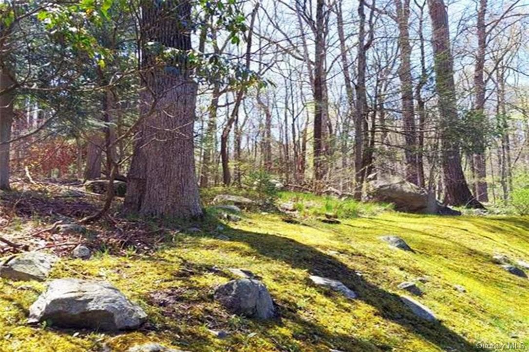 Pine Road & Pepperidge Road, Tuxedo Park