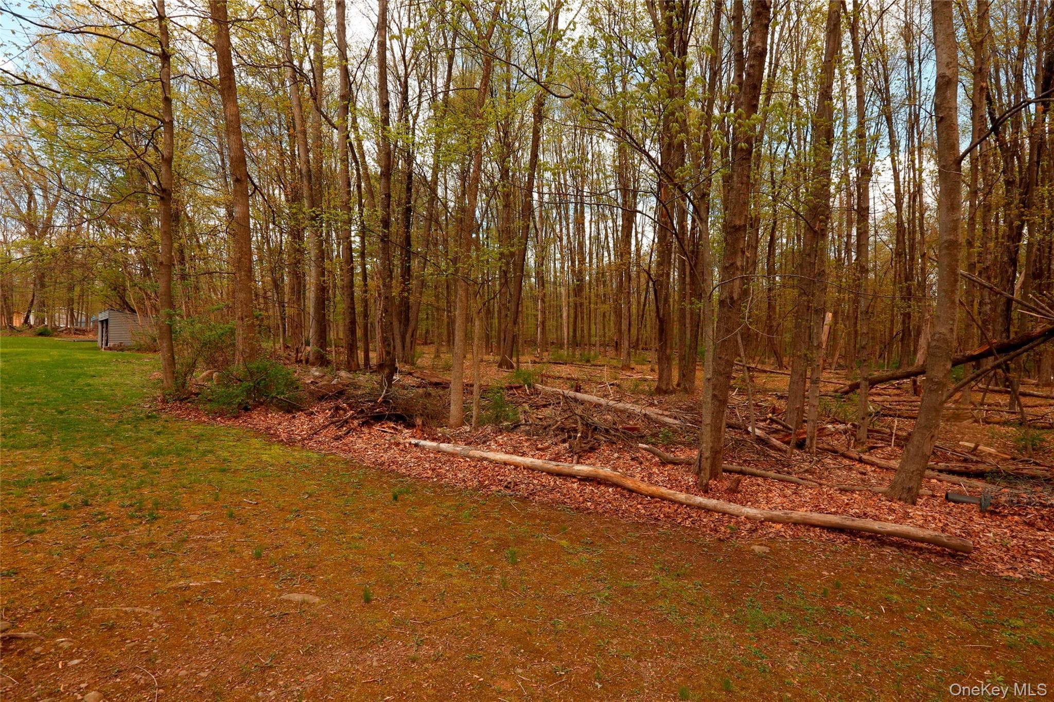 650 Granite Road thumbnail 34