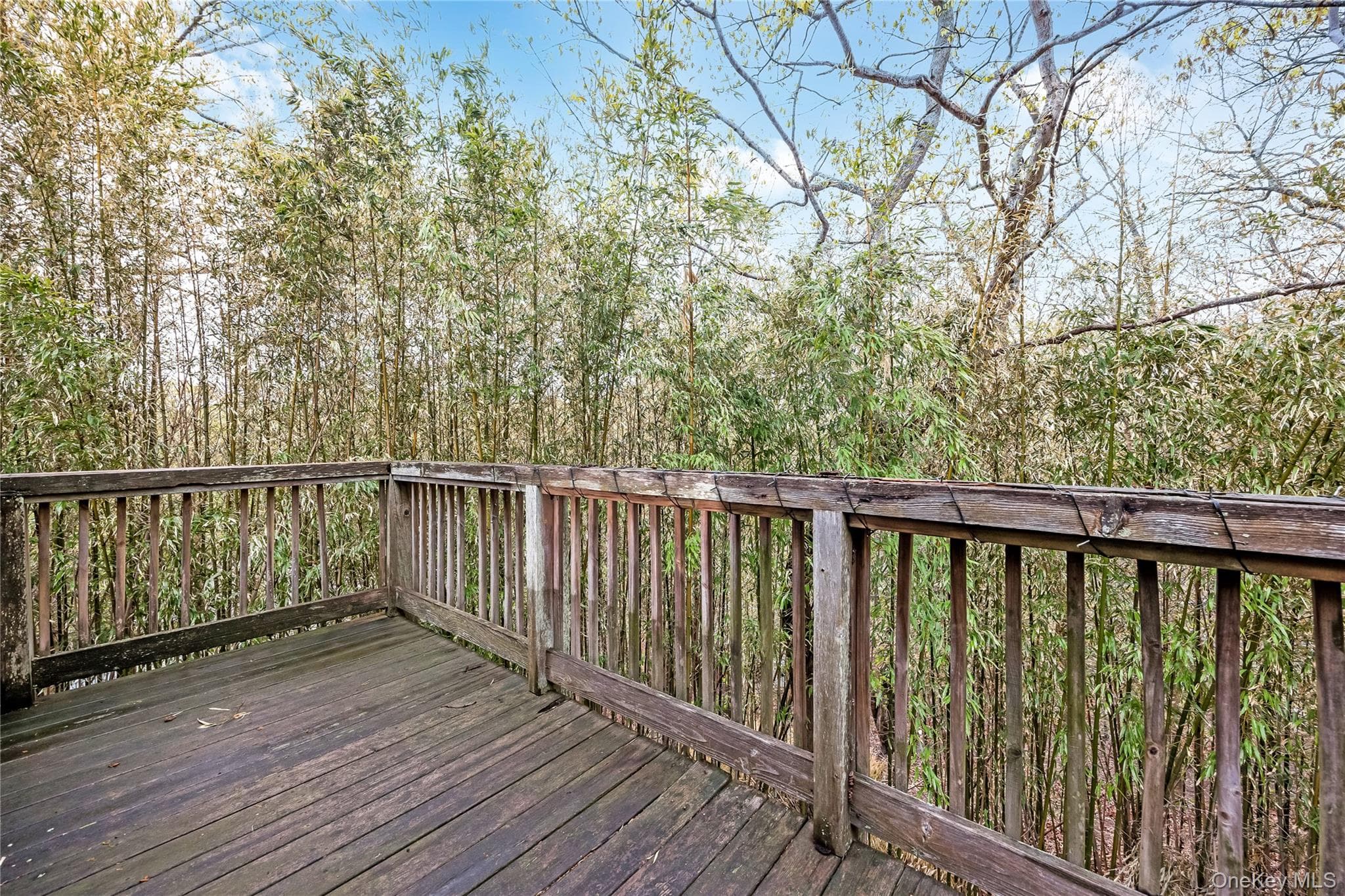 3010 Hulse Landing RD Unit: C-19 thumbnail 18