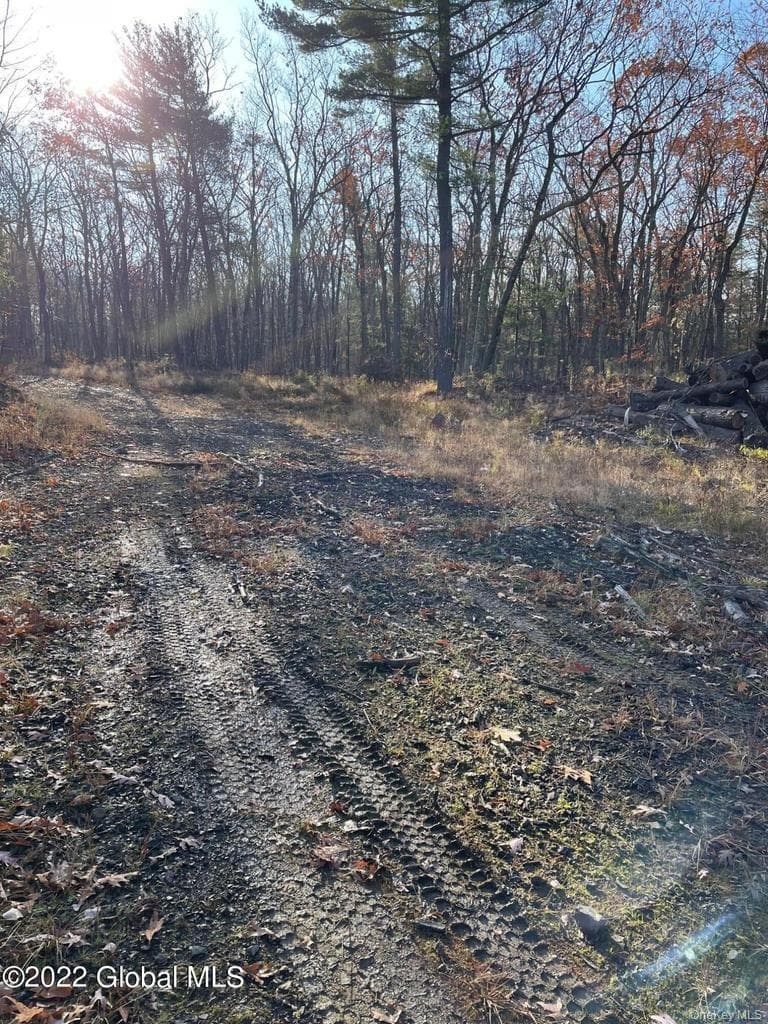 L26 & L27 Ecker Hollow Road thumbnail 10