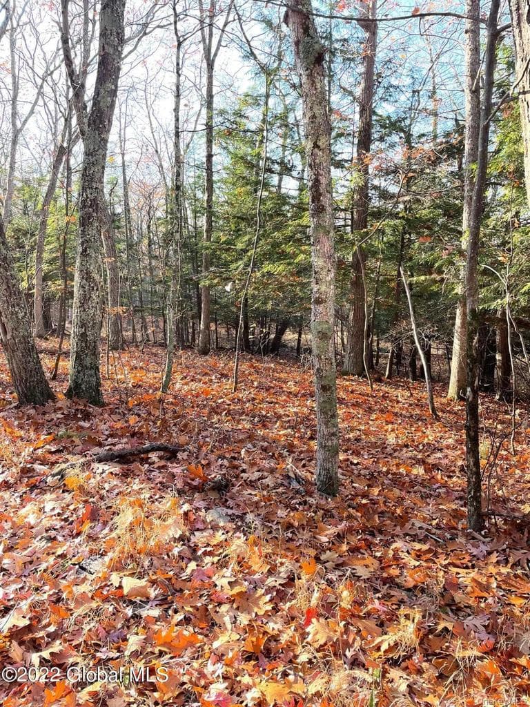 L26 & L27 Ecker Hollow Road thumbnail 25