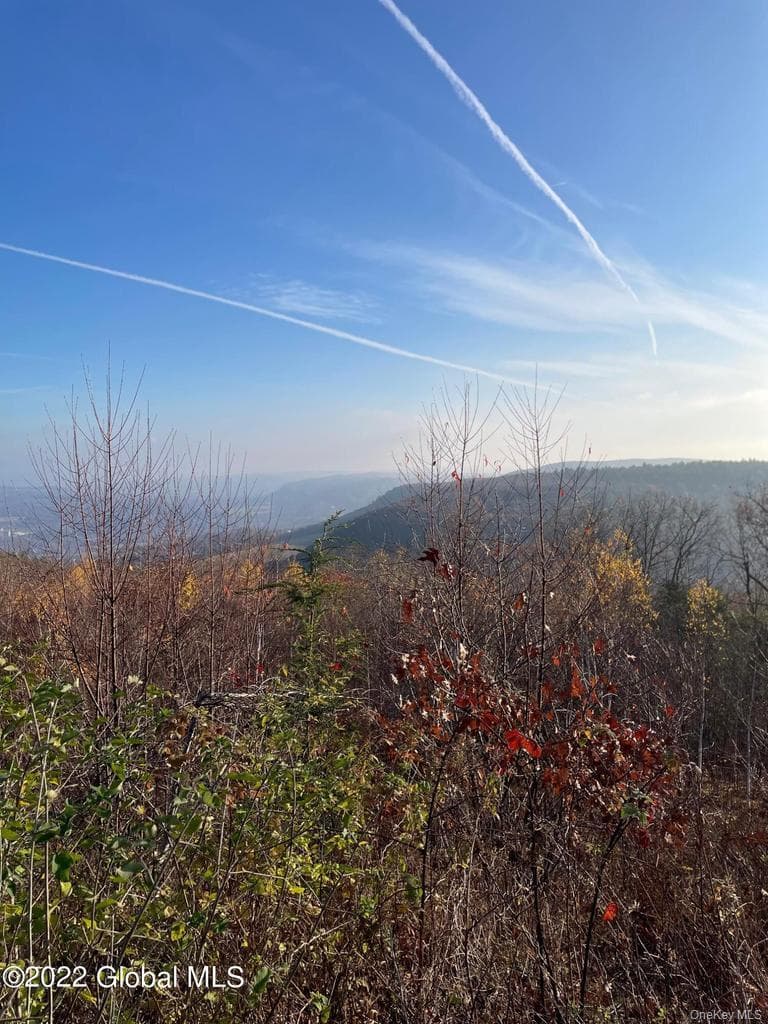 L26 & L27 Ecker Hollow Road thumbnail 5