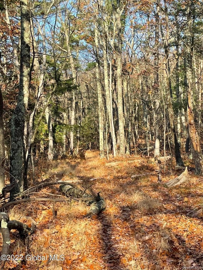 L26 & L27 Ecker Hollow Road thumbnail 17