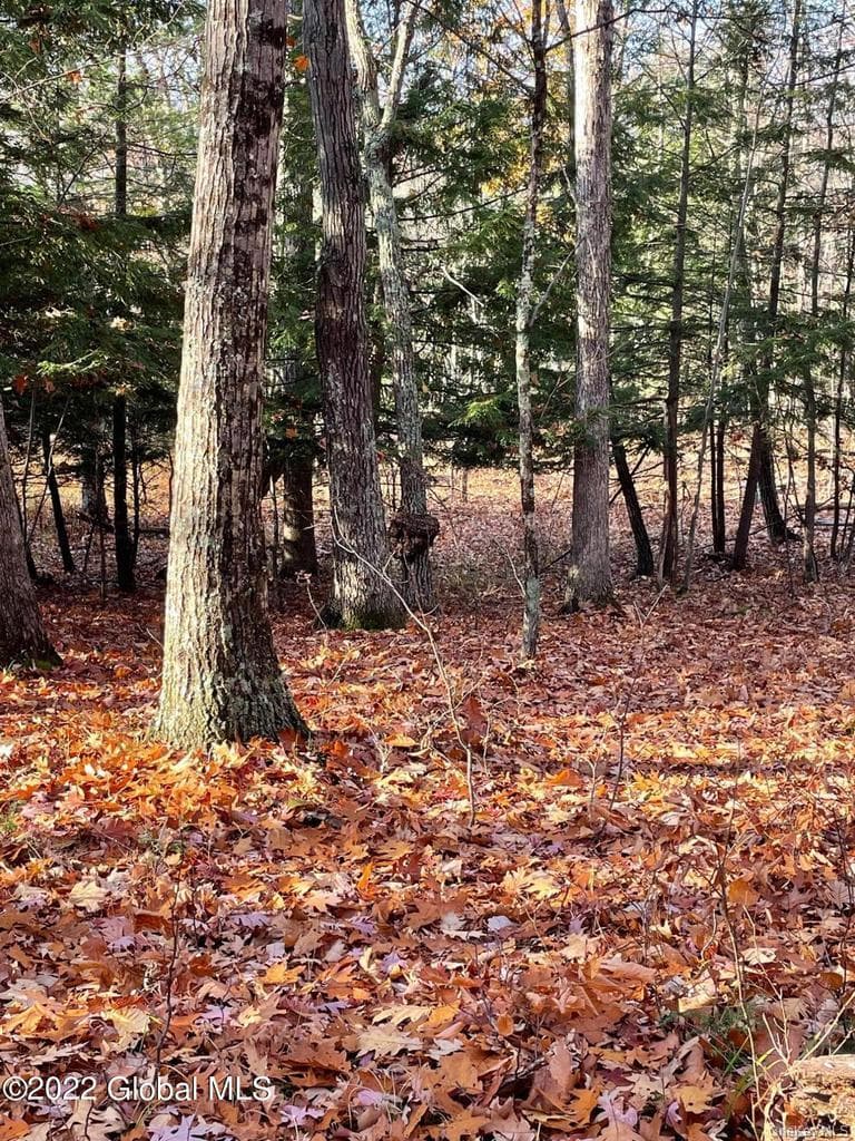 L26 & L27 Ecker Hollow Road thumbnail 26