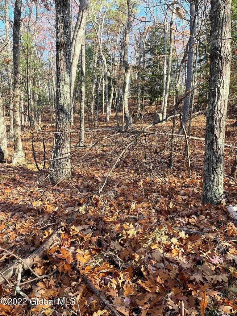L26 & L27 Ecker Hollow Road thumbnail 24