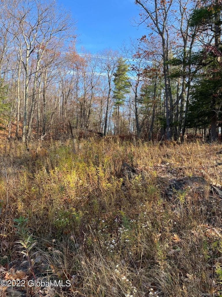 L26 & L27 Ecker Hollow Road thumbnail 16