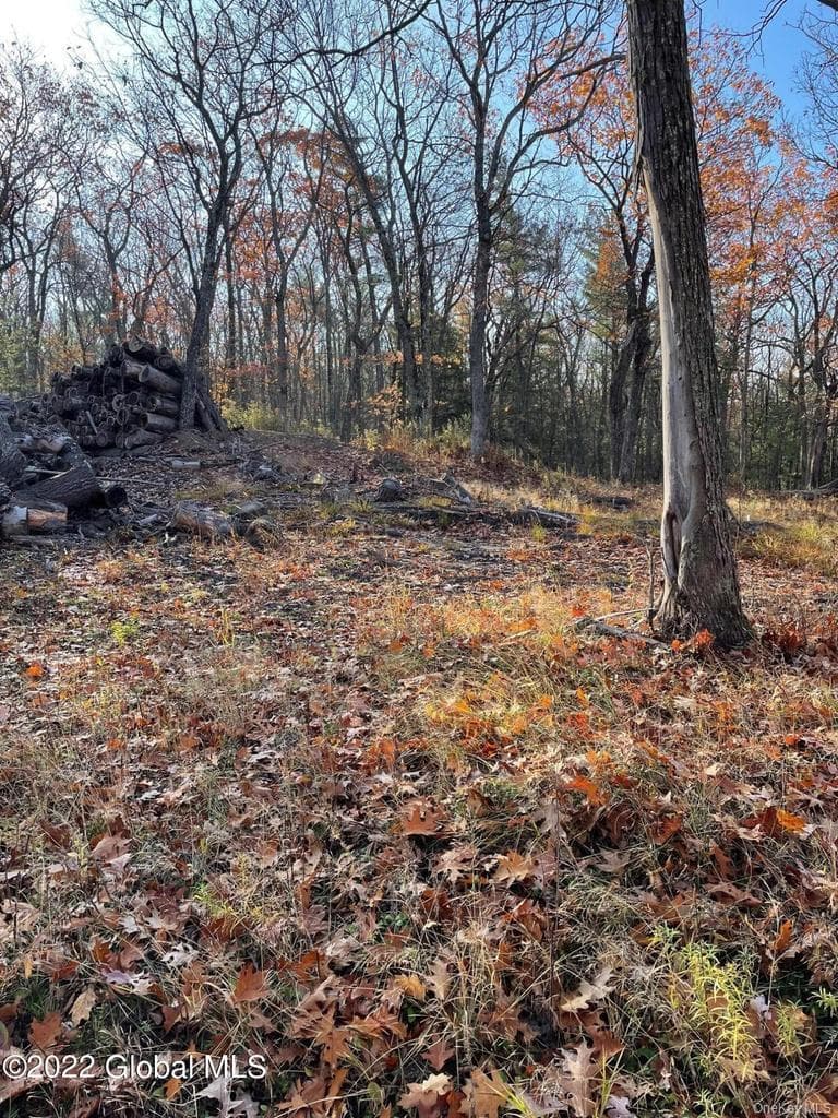 L26 & L27 Ecker Hollow Road thumbnail 18