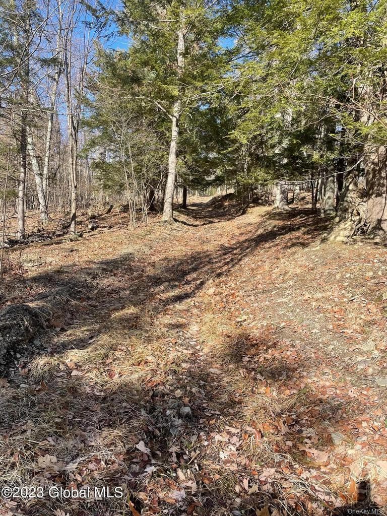 L26 & L27 Ecker Hollow Road thumbnail 30