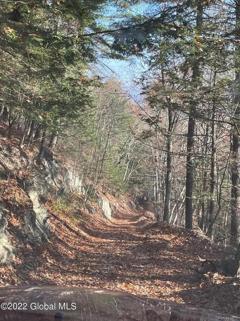 L26 & L27 Ecker Hollow Road thumbnail 20