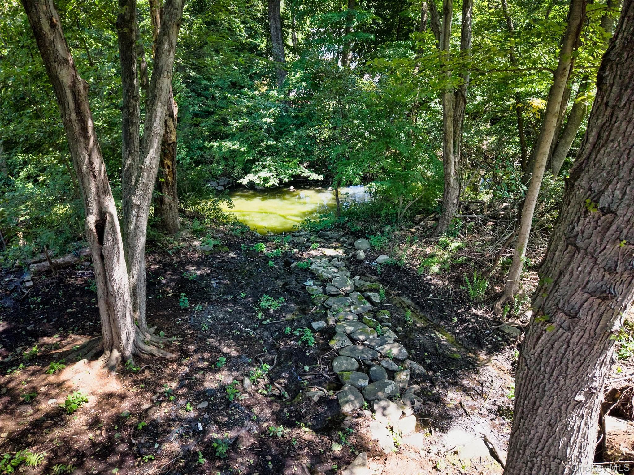28 Brewster Drive thumbnail 43