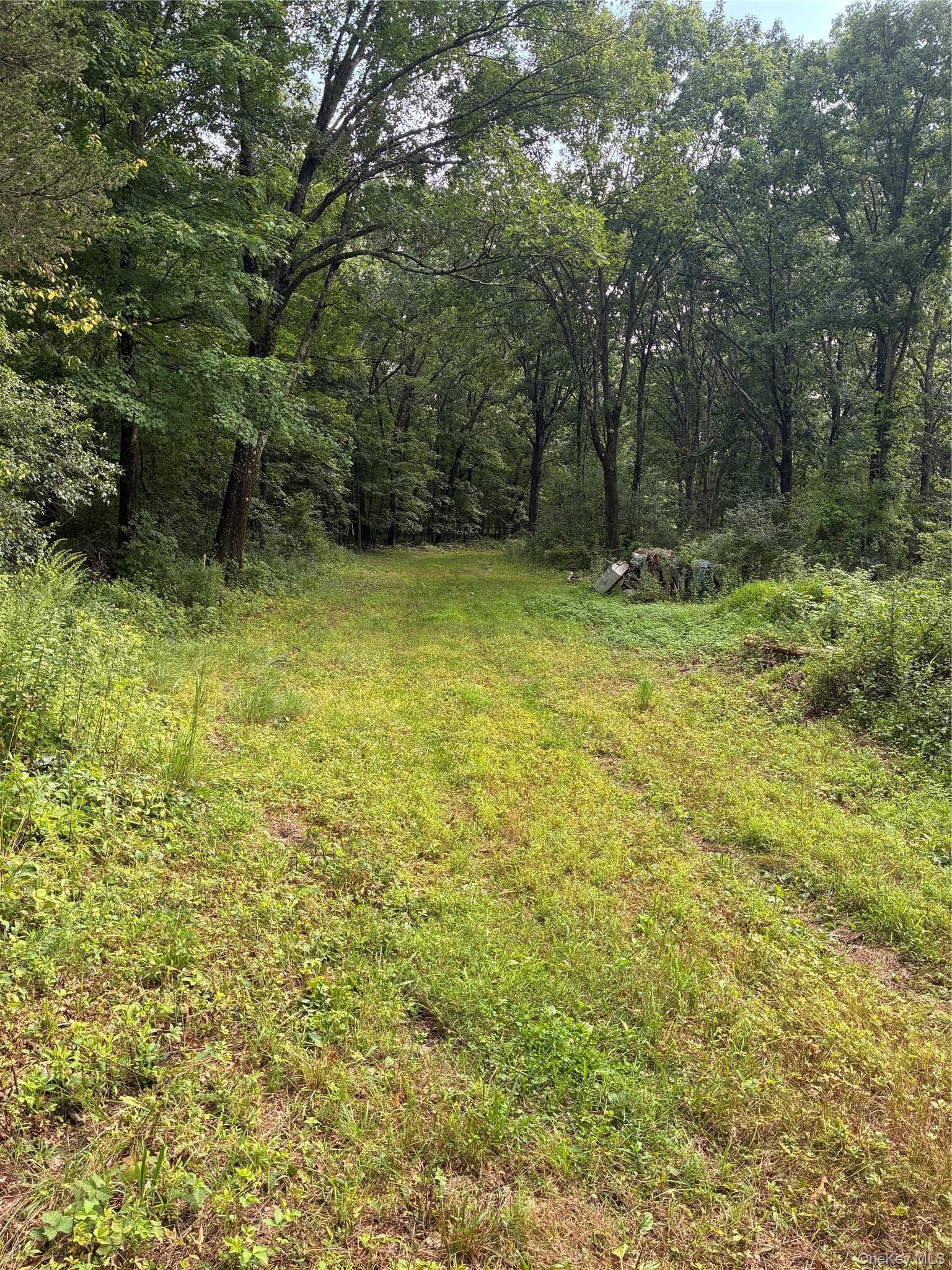 207 Pleasantvale Road thumbnail 9