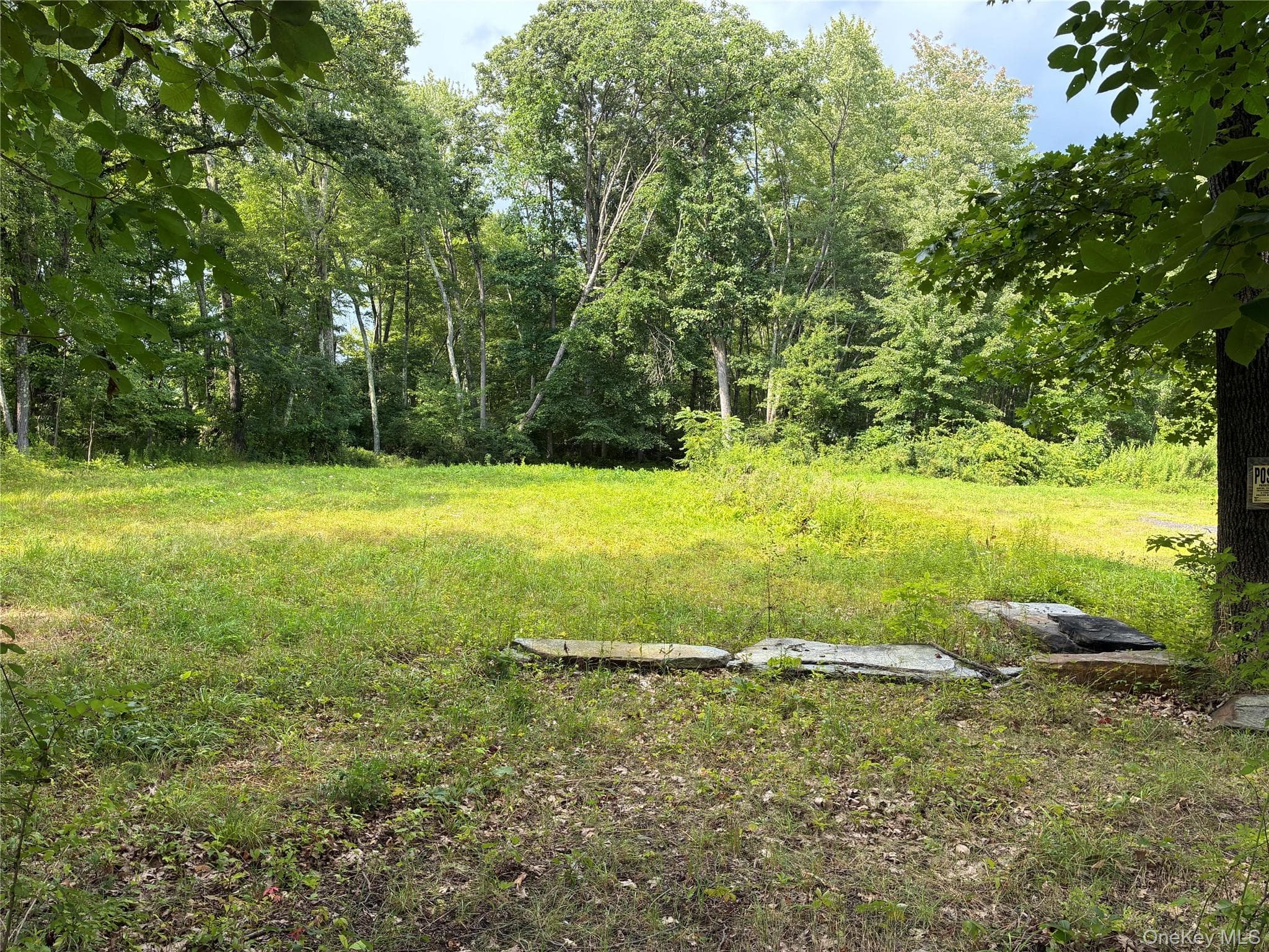 207 Pleasantvale Road thumbnail 14